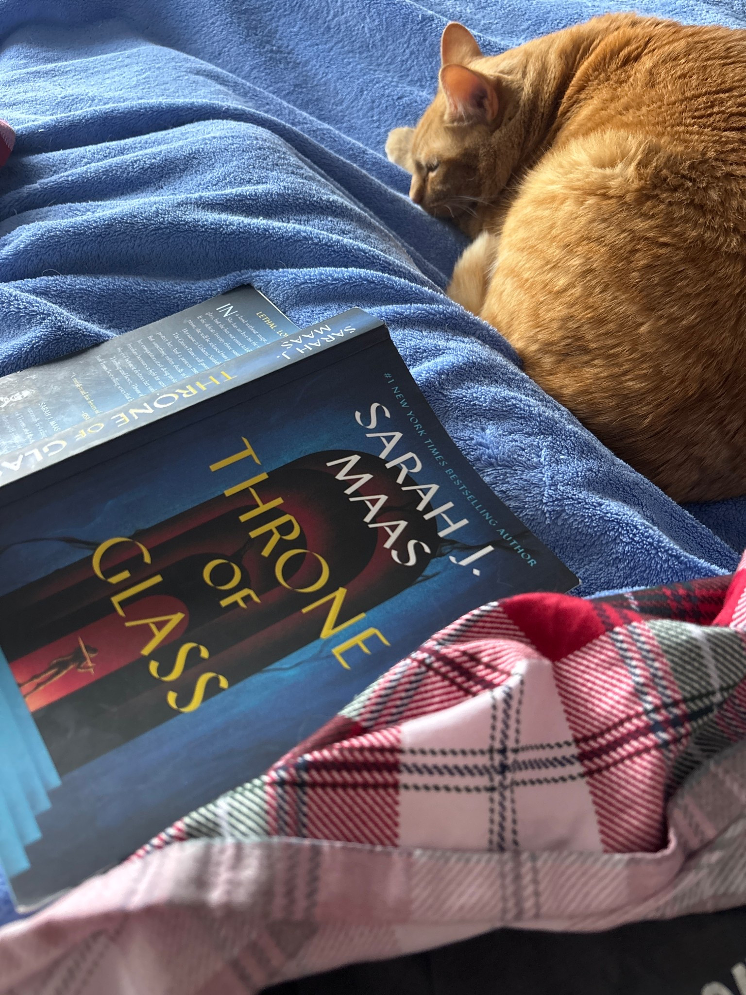 Cozy Sundays at home with clean sheets and a good book #springdays #athome #whattoread 

#LTKselfcare #LTKHome #LTKdayinmylife