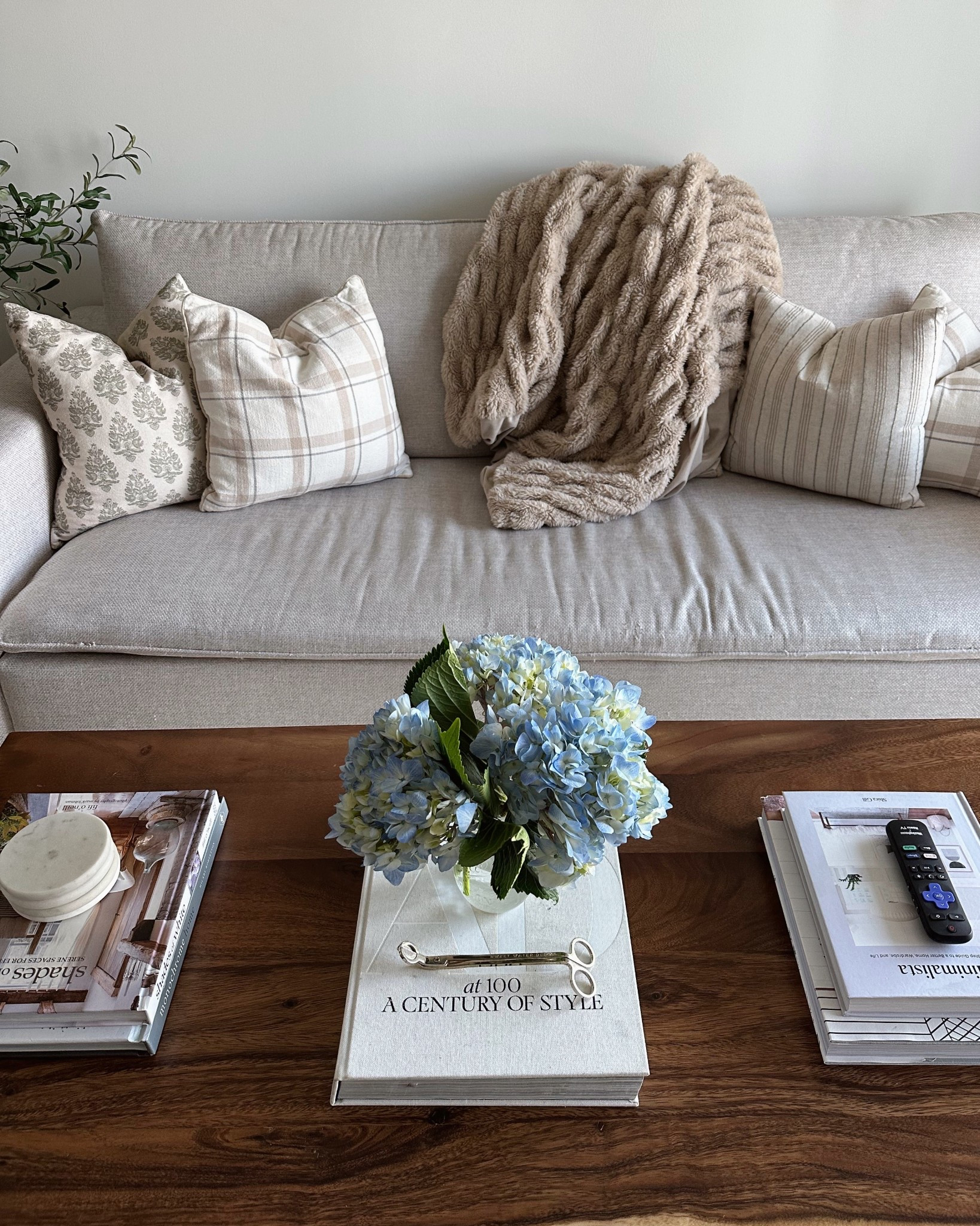 Living room details! Couch is from home goods! 

#LTKHome #LTKSeasonal #LTKStyleTip