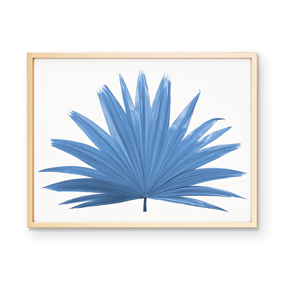 Fan Palm Art Print | Auden & Avery