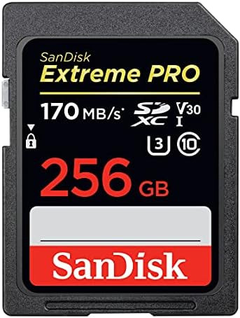 SanDisk 256GB Extreme PRO SDXC UHS-I Card - C10, U3, V30, 4K UHD, SD Card - SDSDXXY-256G-GN4IN | Amazon (US)