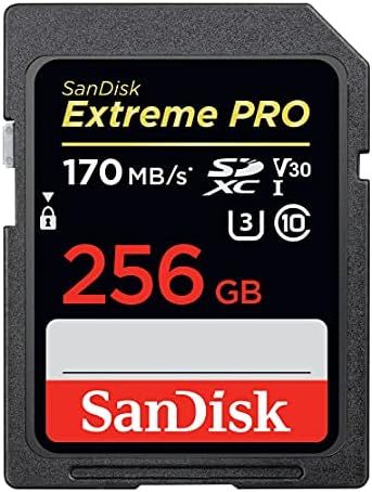 SanDisk 256GB Extreme PRO SDXC UHS-I Card - C10, U3, V30, 4K UHD, SD Card - SDSDXXY-256G-GN4IN | Amazon (US)