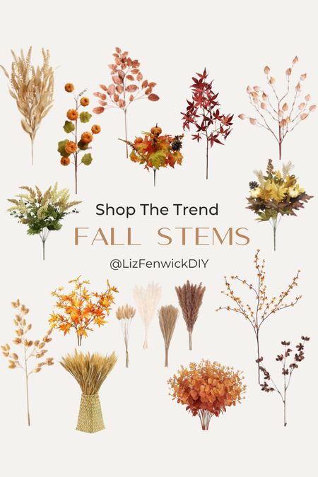 Shop some of my favorite fall stems! 

#LTKstyletip #LTKSeasonal #LTKhome