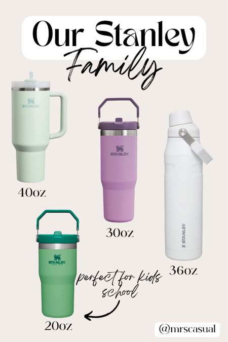Our family of Stanley’s! One for everyone in the family 🙌🏻 the 20 or 30oz ice flow with flip straw is perfect for kids school! @stanley_brand #stanleypartner

#LTKfindsunder100