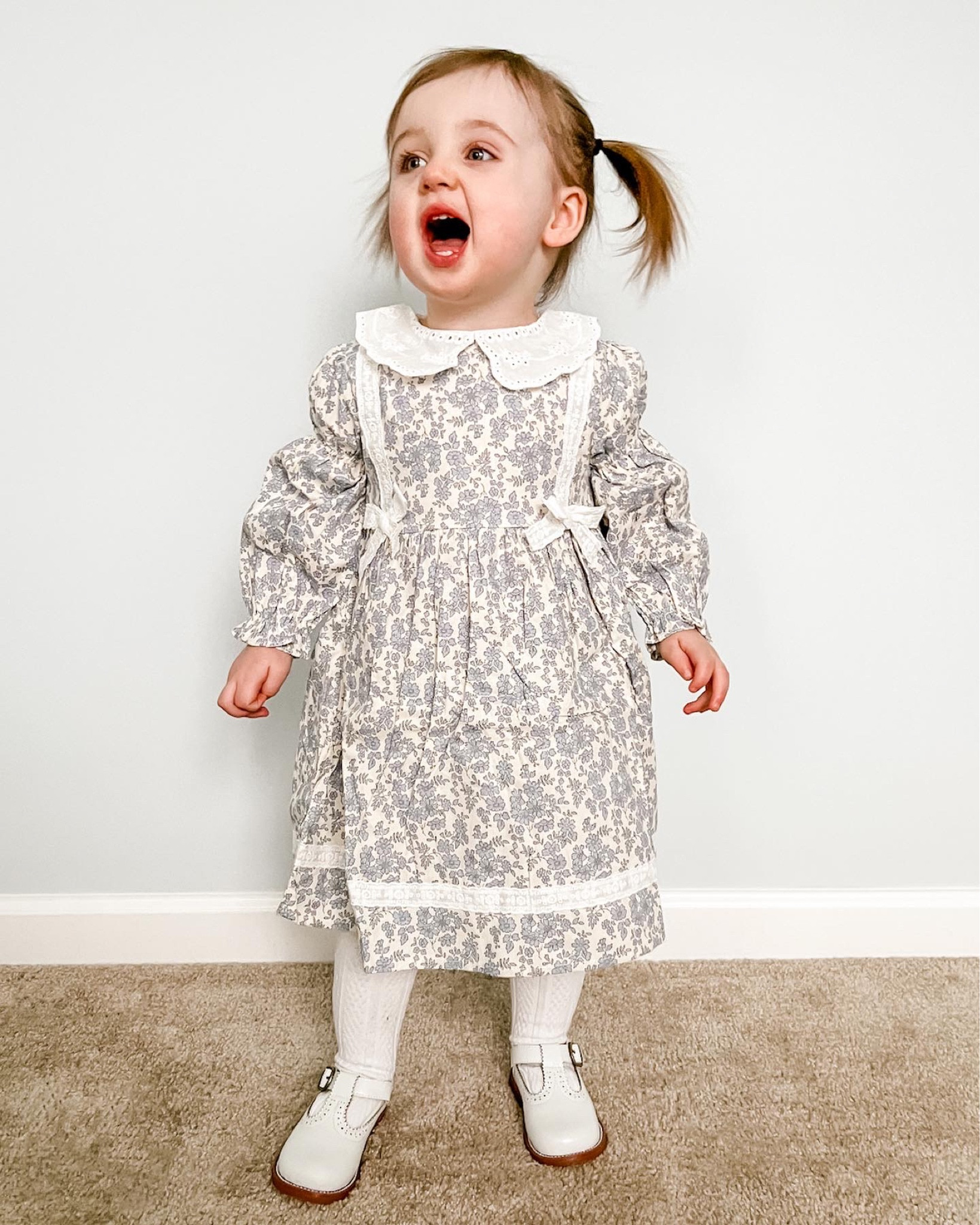 Toddler birthday dress, toddler winter dress, toddler outfit ideas, baby birthday dress, baby outfit, long sleeved dress, floral dress, classic baby clothing, preppy baby clothing, classic kids clothing 

#LTKkids #LTKstyletip #LTKbaby