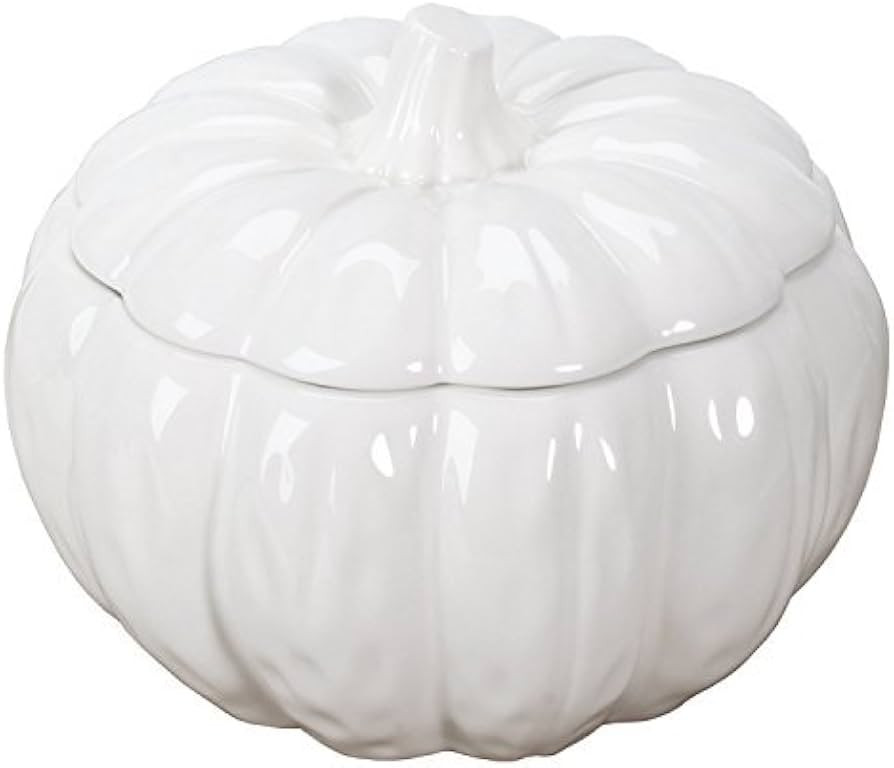 Ceramic Pumpkin Round Soup Bowl Container with Fitting Lid White | Amazon (US)