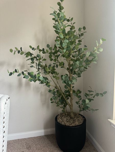 Adding life to this living space with this gorgeous faux eucalyptus tree | home style home decor

#LTKhome #LTKstyletip #LTKfindsunder100