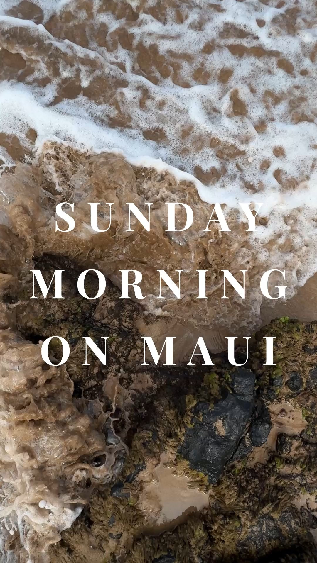 Aloha 🏖️☀️
Wearing a bubblegum pink swimsuit by Hunza G + Janessa Leoné Walker hat + jewelry by David Yurman & Mejuri. 
Just add sunscreen. #LTKSwim 

#LTKTravel #LTKHoliday