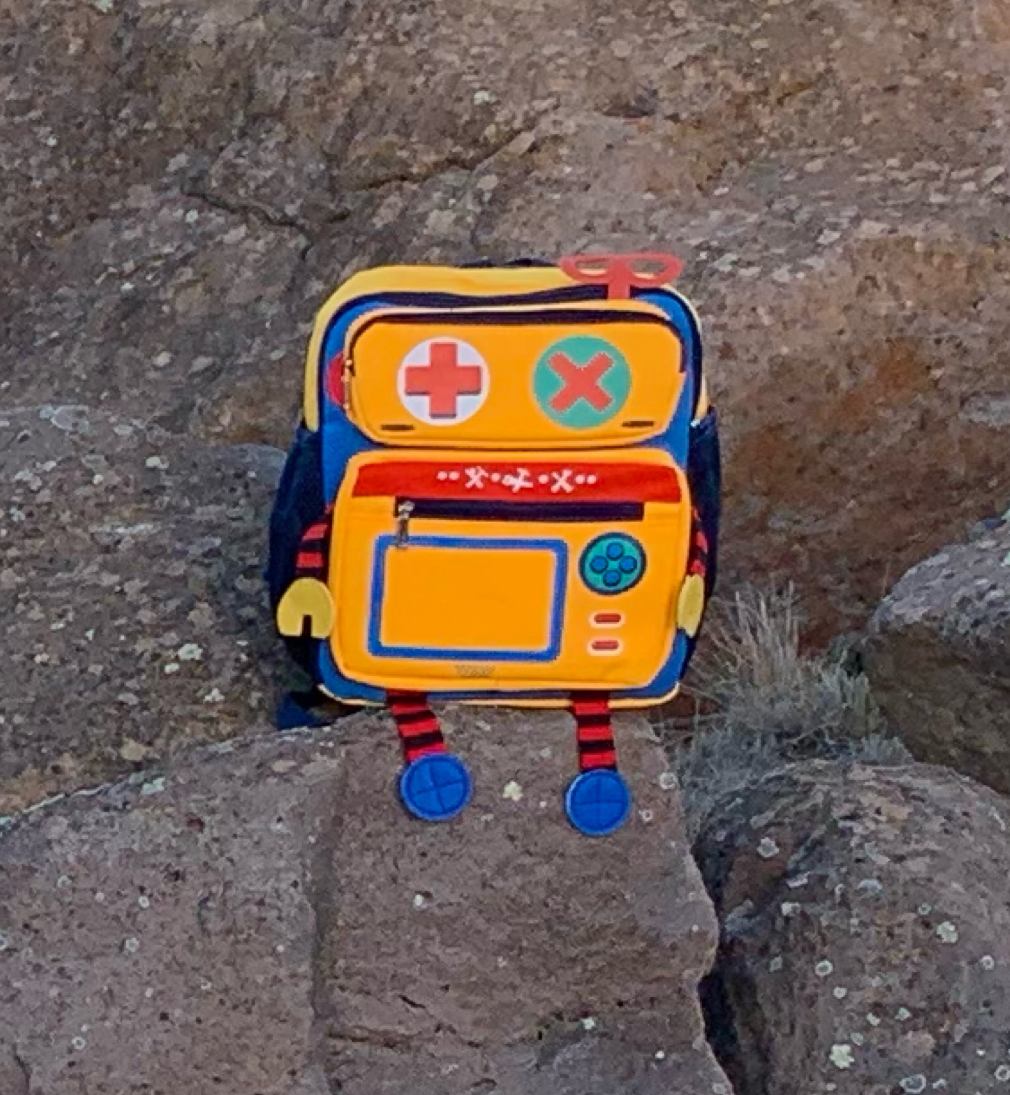 Style is in the details, and this backpack has it all! In fact, this exact one is part of our Halloween costume this year. 

#LTKkids #LTKSeasonal #LTKfindsunder50
