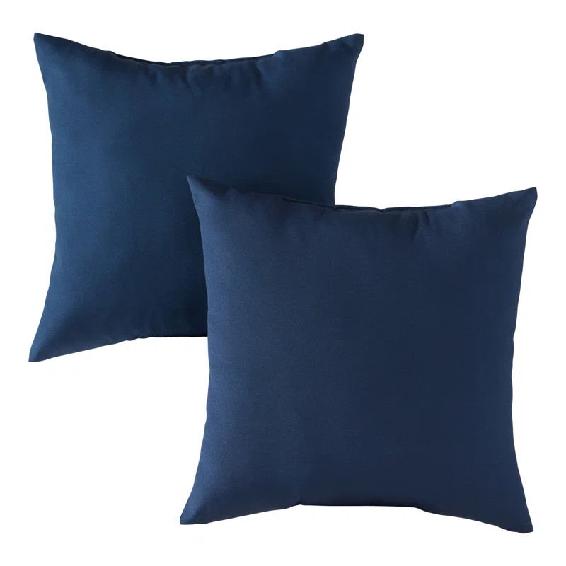 Indoor/Outdoor Reversible Throw Pillow | Wayfair North America