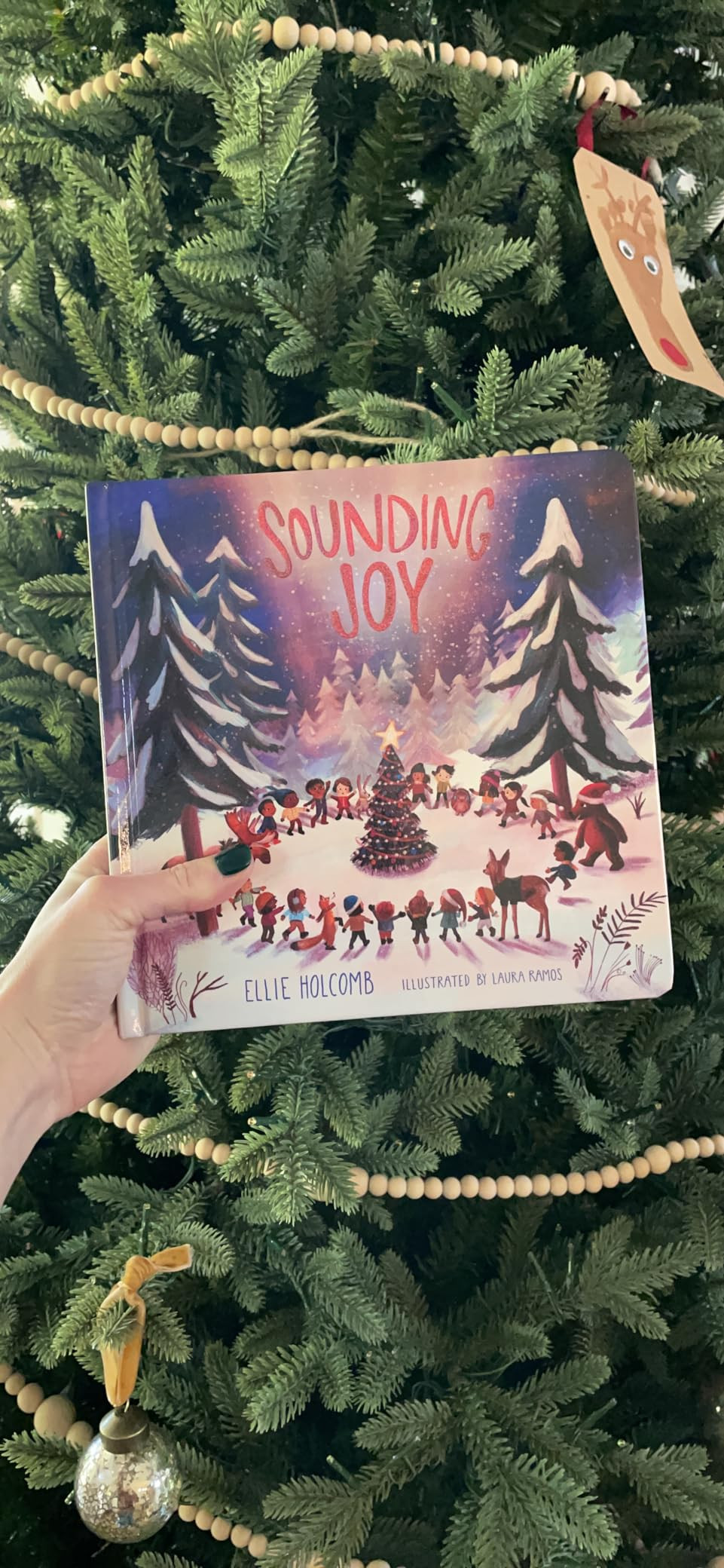 Sounding Joy | Amazon (US)