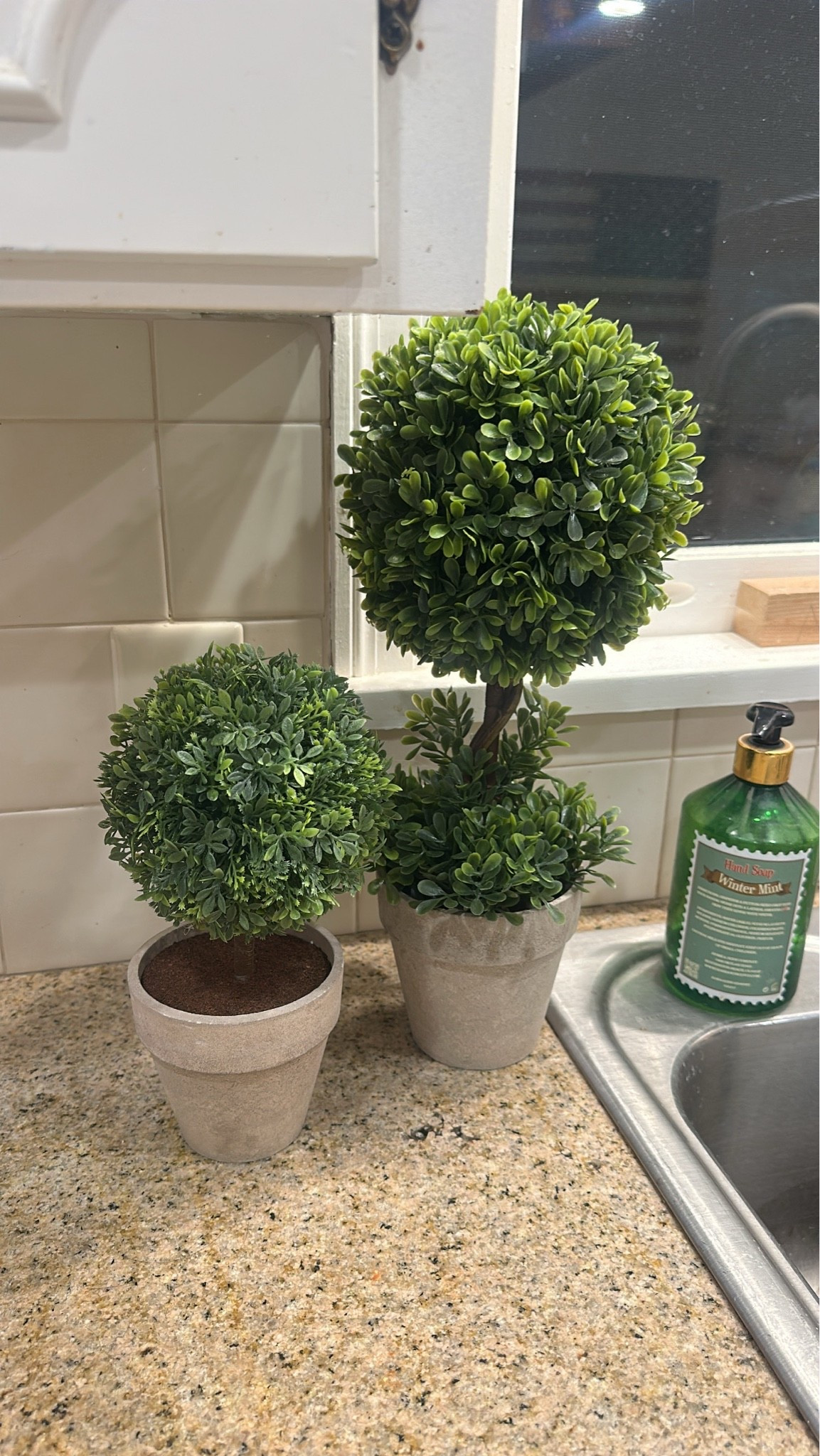 The cutest little topiary boxwoods for my kitchen!