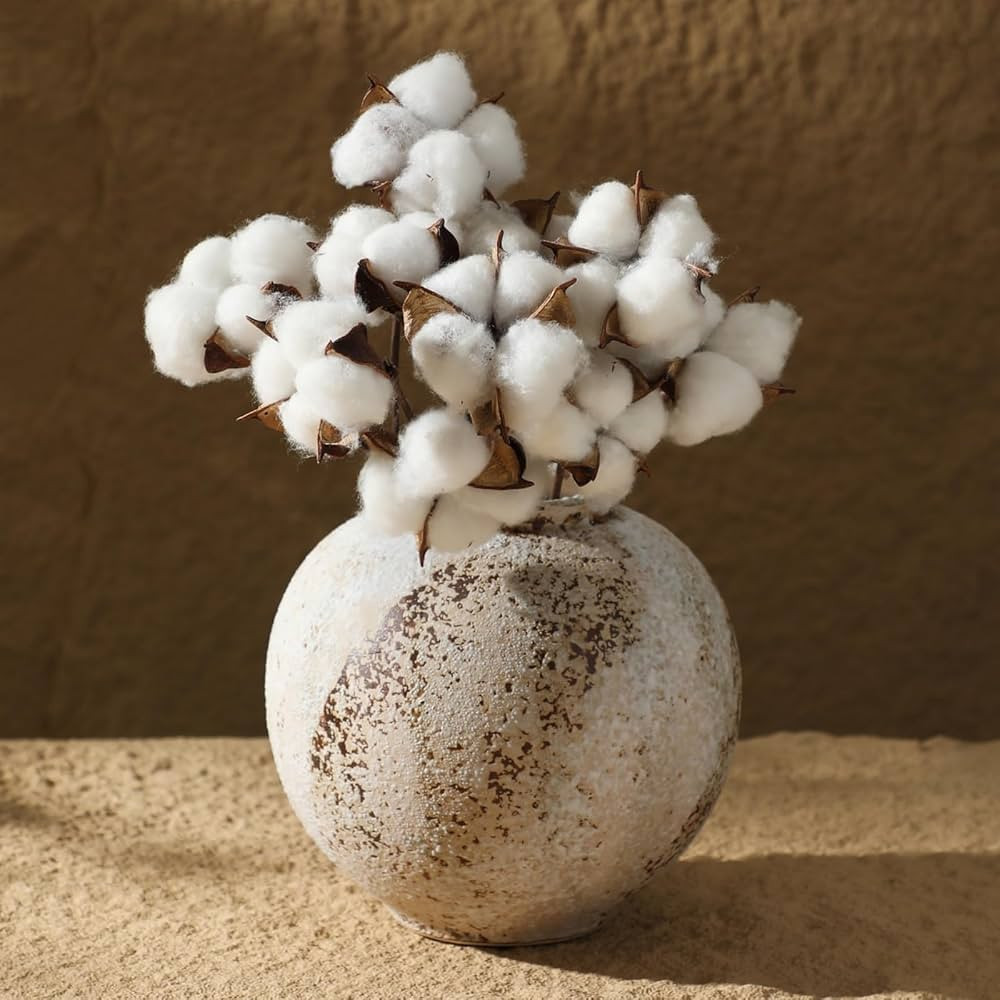 Rustic Ceramic Farmhouse Vase, Whitewashed Terracotta Flower Large Vase Pottery Decorative Vase f... | Amazon (US)