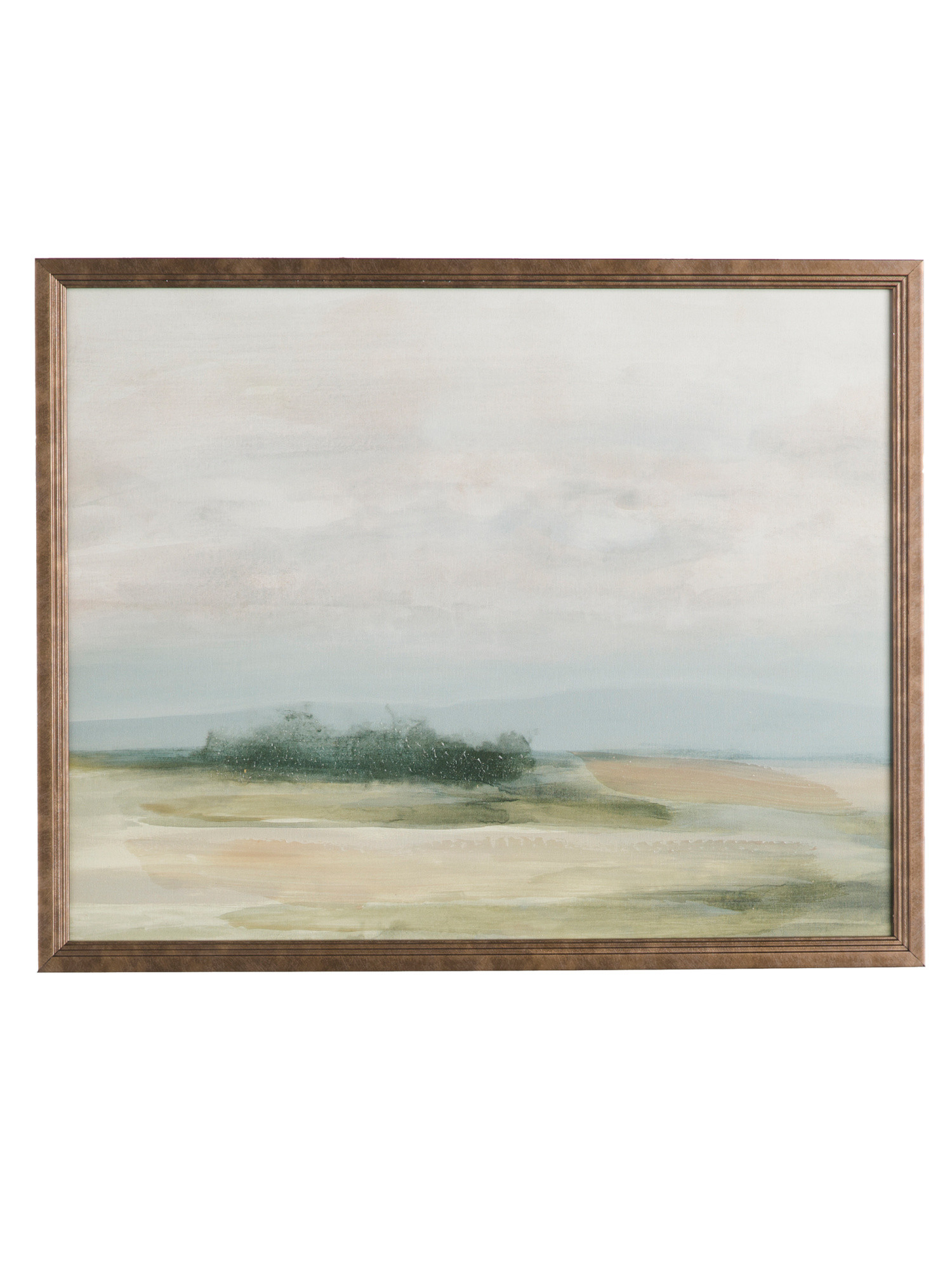 21x17 Field In Summer Wall Art | TJ Maxx