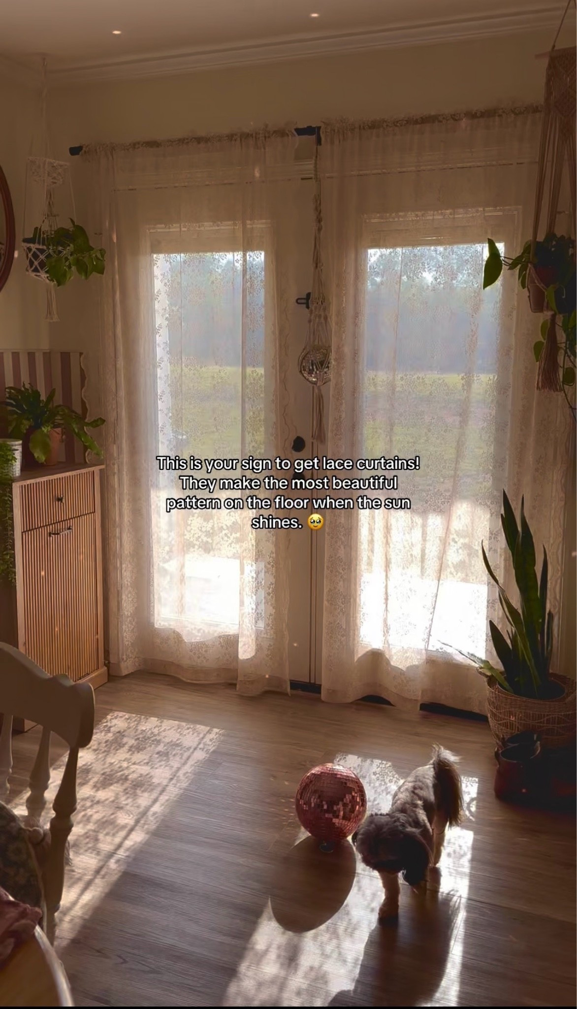 Lace curtains link🥰🫶🌸