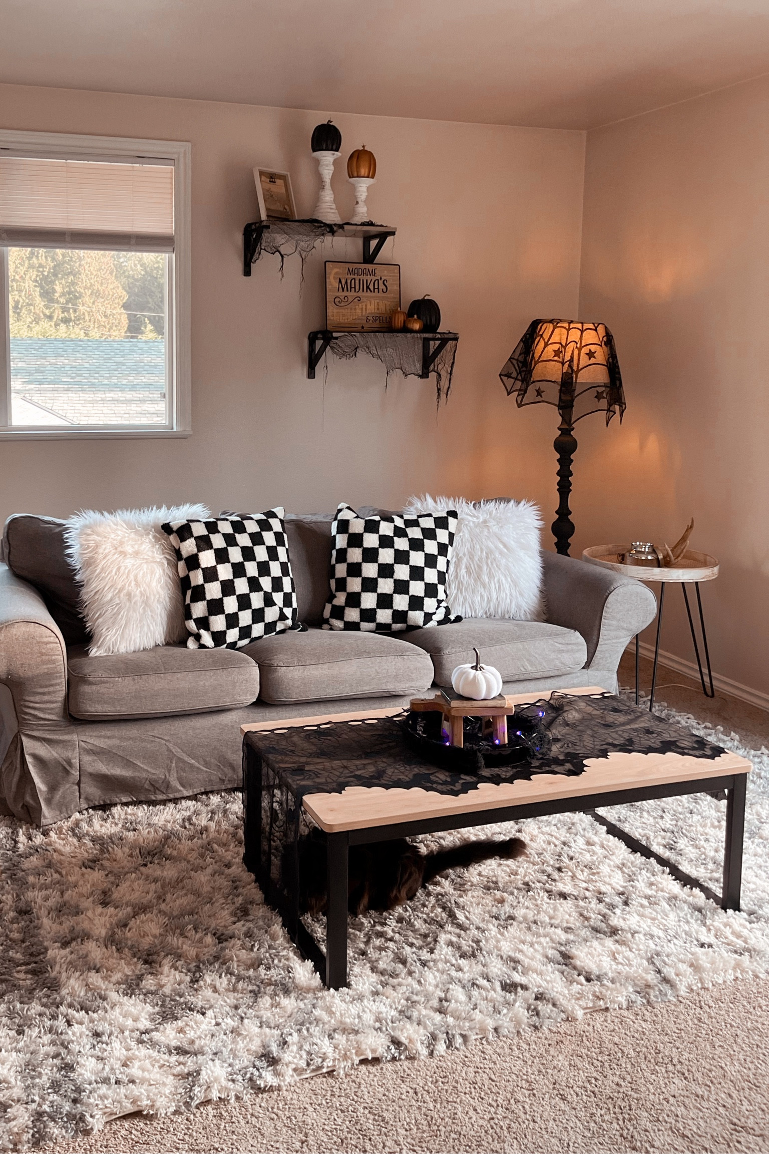 Cozy Halloween Living Room Decor - On a budget ✨Amazon has some of the best finds this year! I went for a classic, black Halloween theme with some gold and checkered accents. 

#LTKHalloween #LTKstyletip #LTKSeasonal