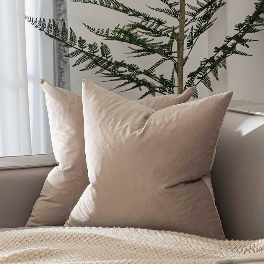 JUSPURBET Couch Pillow Covers Set of 2 Decorative Velvet 20x20 Throw Pillow Covers Cases for Livi... | Amazon (US)