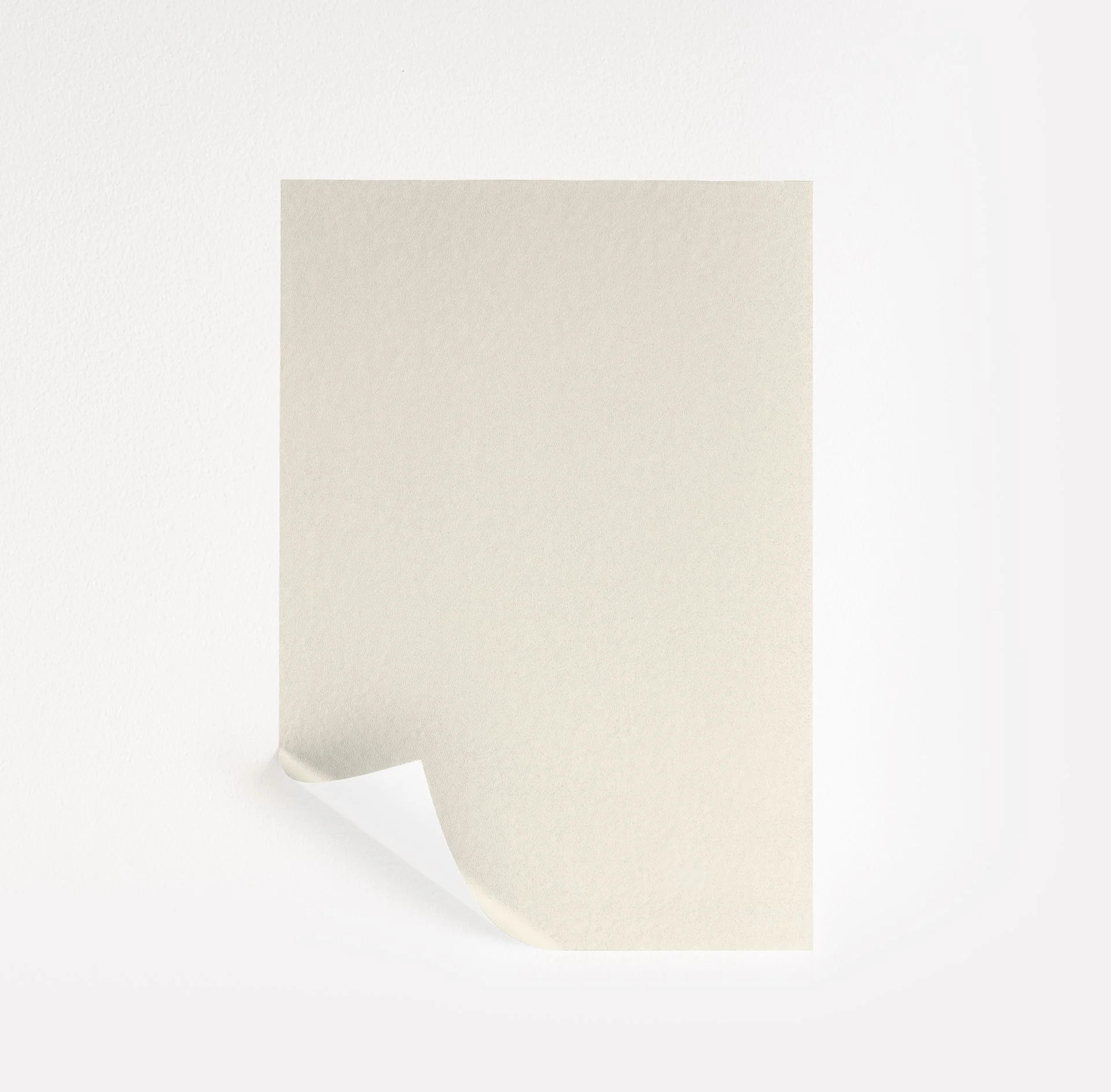 Pointing  Paint Sample | Samplize
