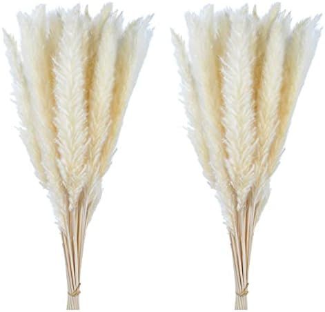 60 Pcs Pampas Grass 18” ,Dried Pompous Grass Pompass Branches for Vase Flower Arrangement Weddi... | Amazon (US)