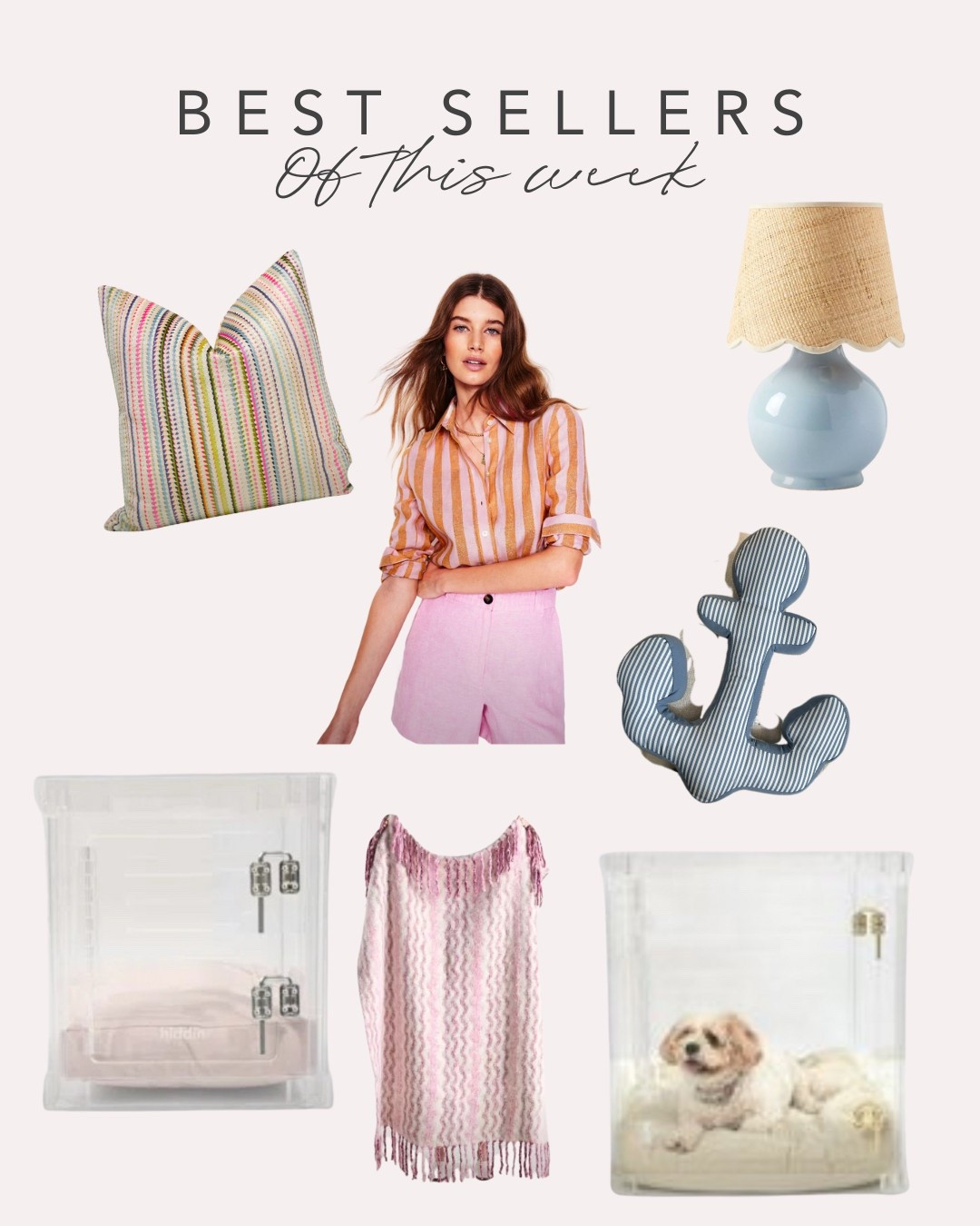 BEST SELLERS of the week!! Obsessed with these acrylic dog kennels🤩🤩 

#LTKHome #LTKStyleTip
