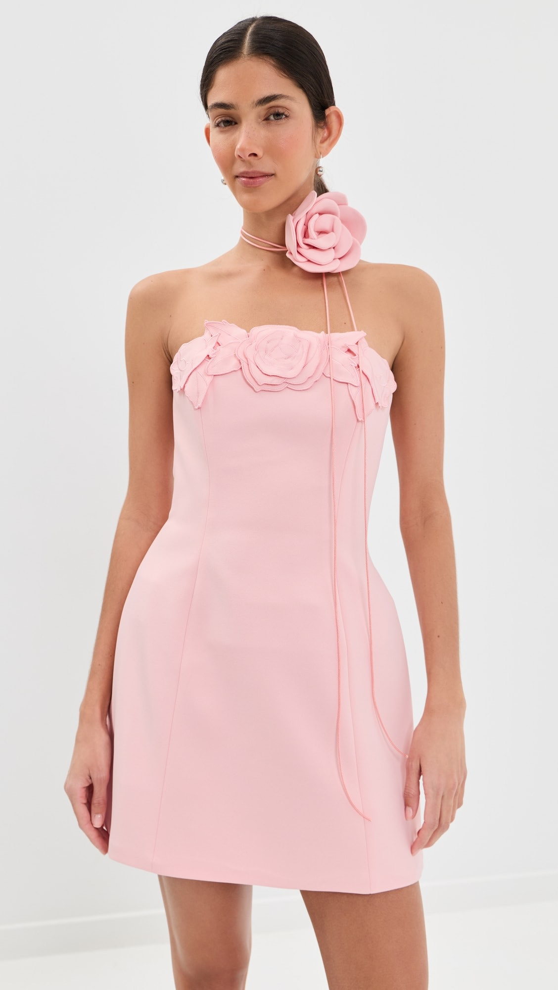 Roselle Applique Bustier Mini Dress | Shopbop