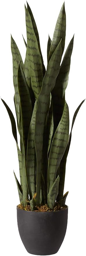 Nearly Natural, Green 4855 35in. Sansevieria with Black Planter | Amazon (US)