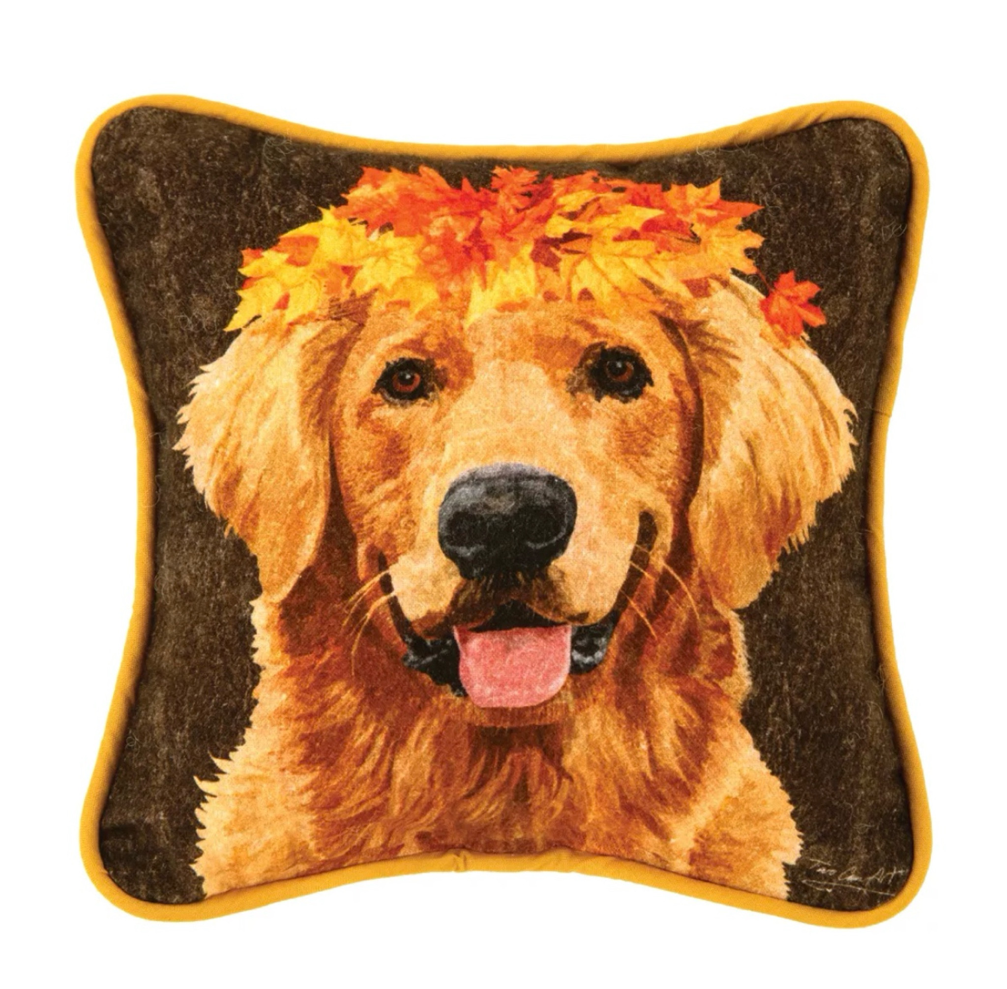 The autumn pillow for the golden retriever lover in your life! 

#LTKFindsUnder100 #LTKSeasonal #LTKHome