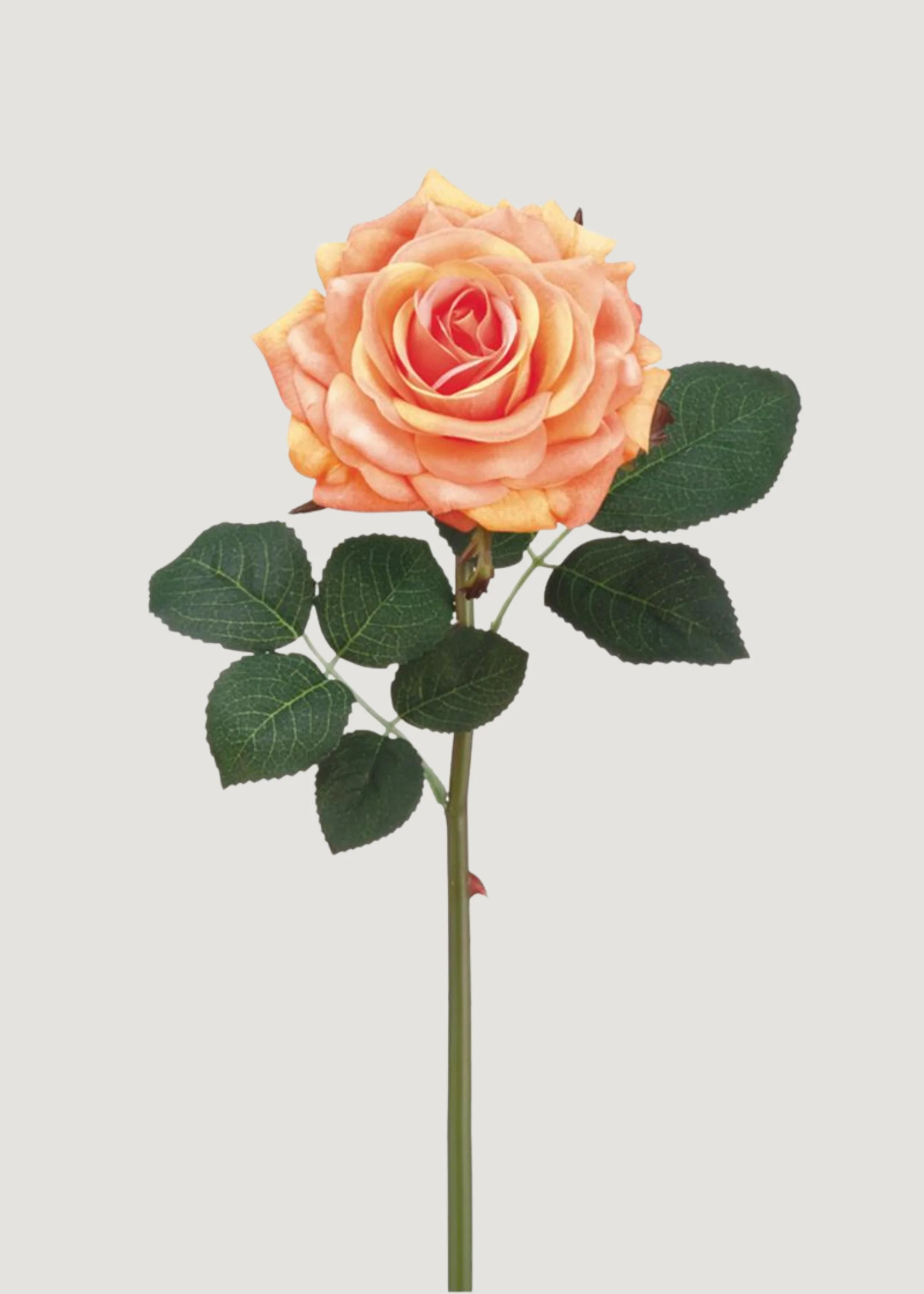 Real Touch Rose in Peach - 12" | Afloral