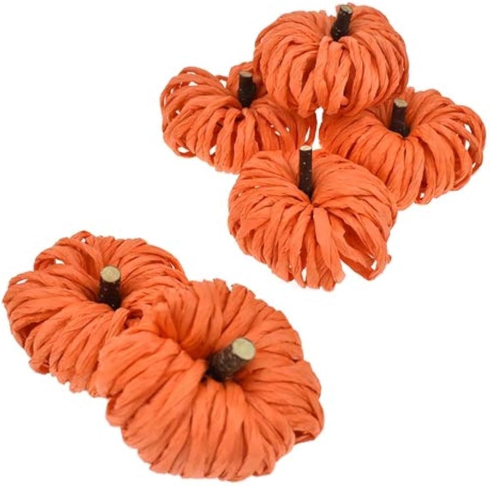 Homeford Bagged Raffia Pumpkin Decoration, 1-1/2-Inch, 6-Count (Orange) | Amazon (US)