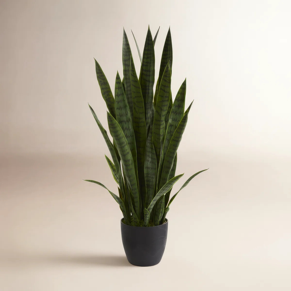 38'' Faux Snake Plant (Sansevieria) Succulent in Planter | Wayfair North America