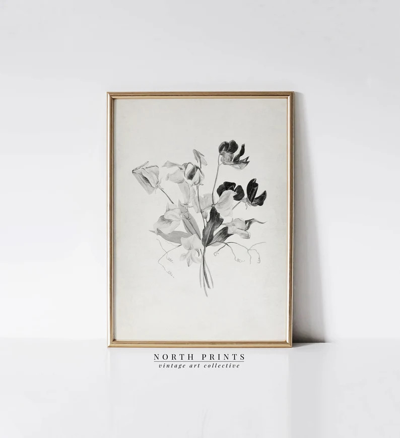Antique Wildflower Sketch | Vintage Botanical Bouquet Print | Neutral Art PRINTABLE Digital | 991 | Etsy (US)