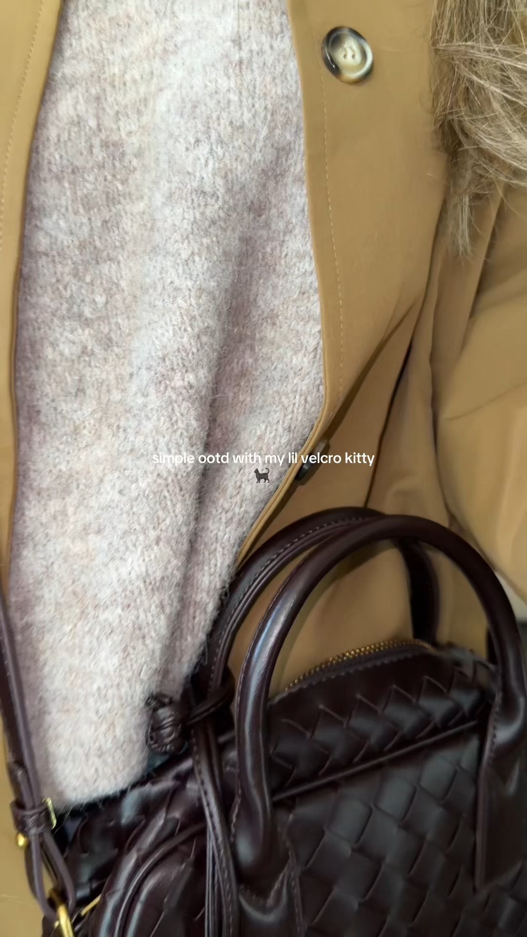 simple ootd 🐈‍⬛🧥

#LTKSaleAlert #LTKSeasonal #LTKStyleTip