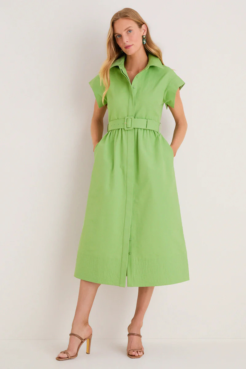 Pistachio Chloe Dress | Tuckernuck (US)