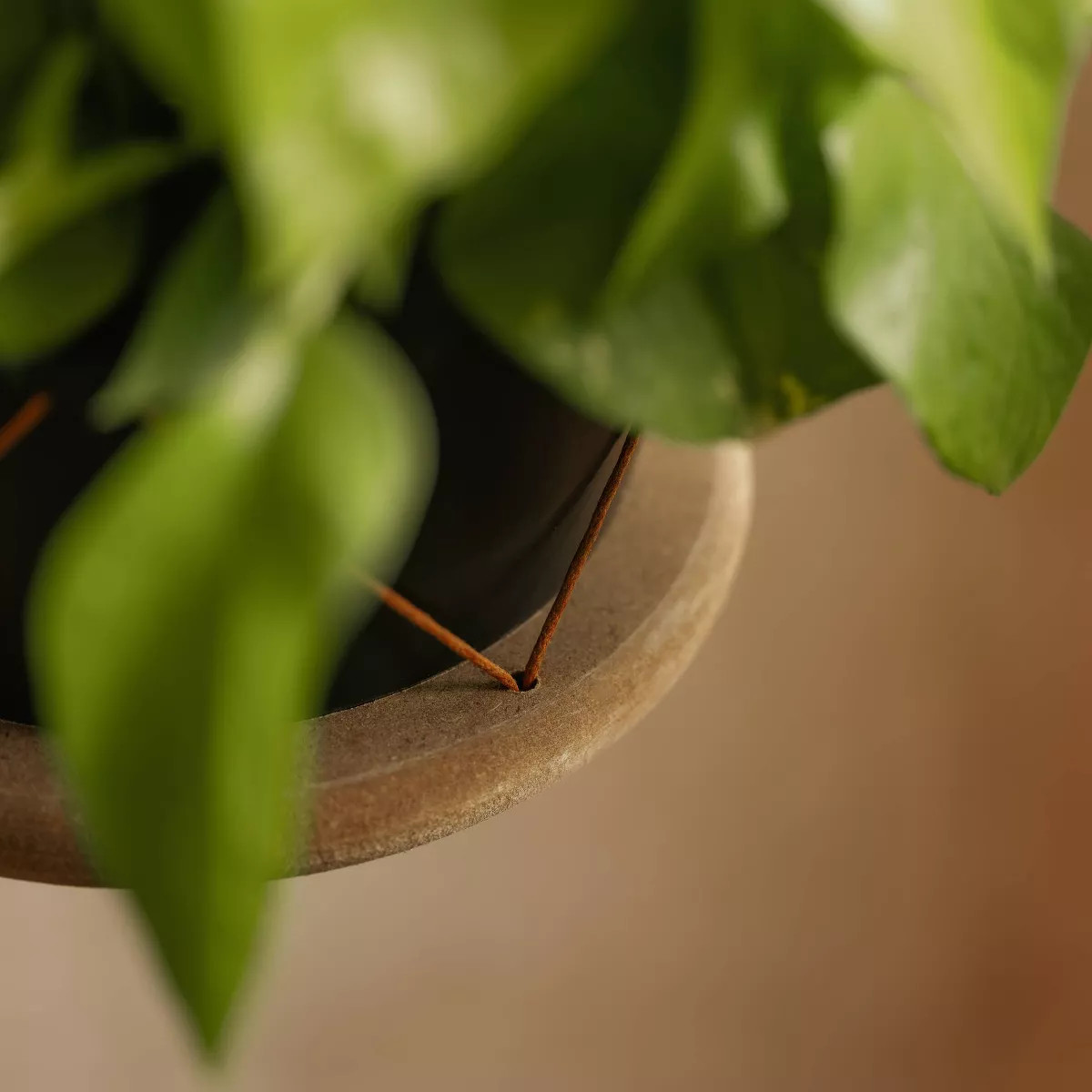 LiveTrends Ritual Hanging Ceramic Indoor Planter Basket Matte Black 6.5"x6.5"x22" | Target