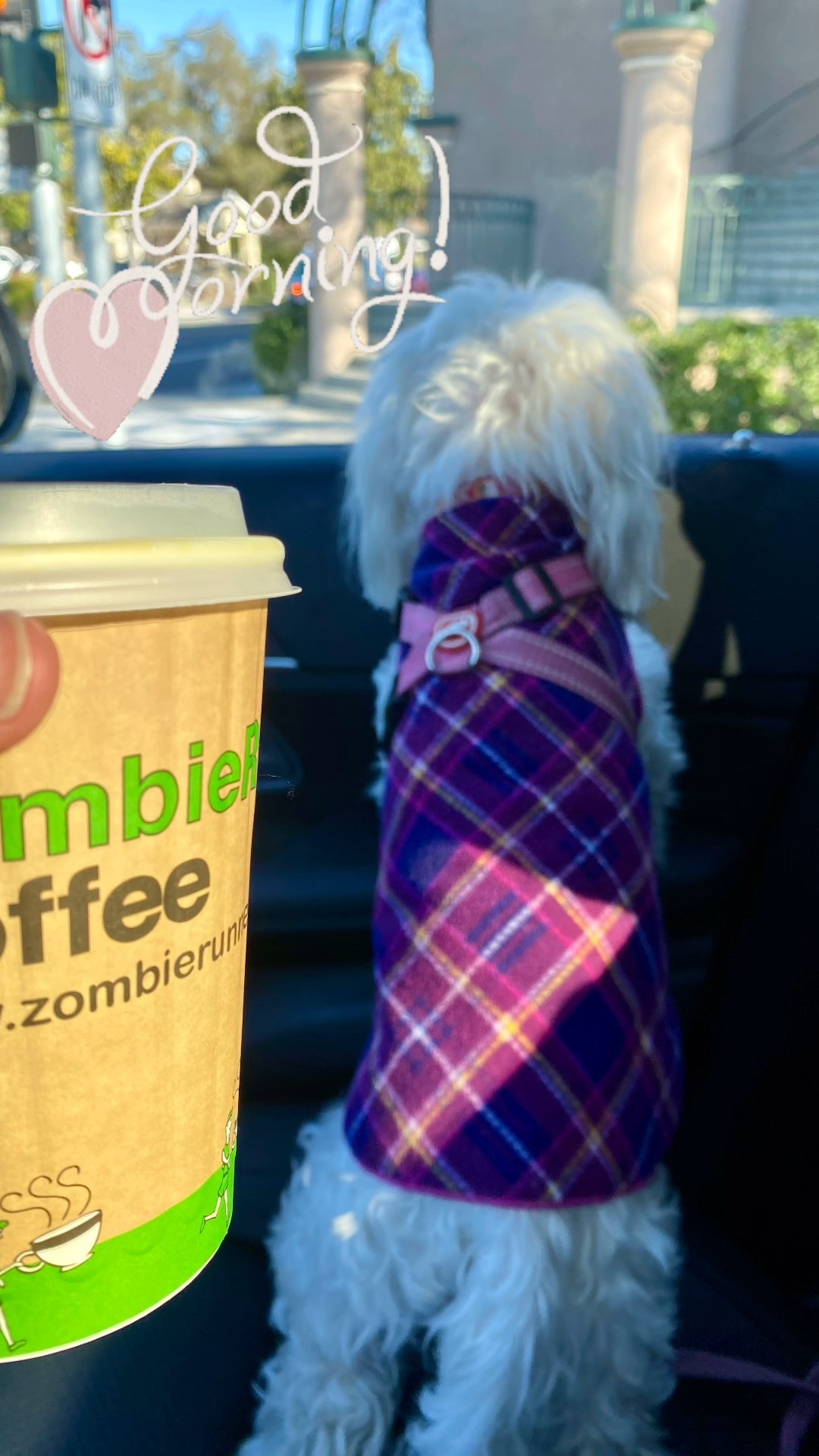 Zoey doesn’t like dog sweaters, but, she doesn’t mind this lightweight - but warm -  fleece one -at all- for chilly mornings. 

And I love that her harness fits over easily, lots of colors and sizes, machine washable, small business, but can now be purchased thru amazon 🐾 it’s a good one! 

Deets: Zoey is 9 pounds and is wearing the size 10 


#LTKFindsUnder50 #LTKdayinmylife #LTKmomlife