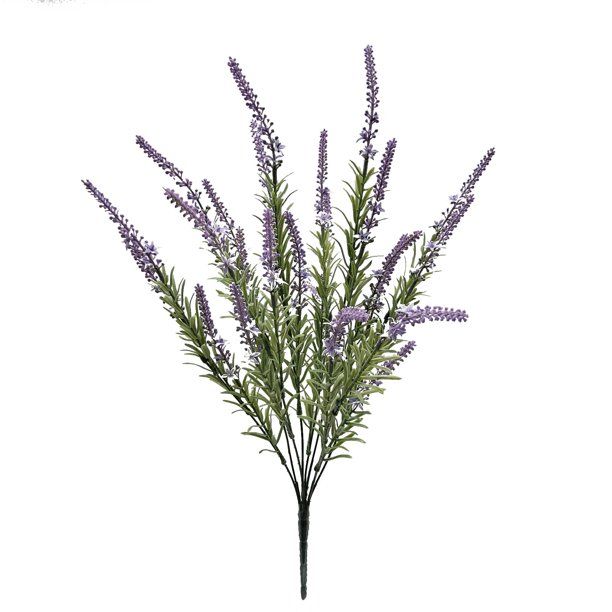 Mainstays Lavender Bush - Walmart.com | Walmart (US)