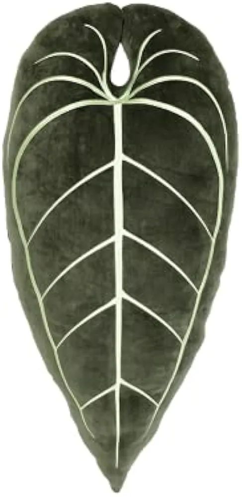Green Philosophy Co. Plush Succulent Leaf Pillow 3D Accent Anthurium Warocqueanum Plant Throw Pil... | Amazon (US)