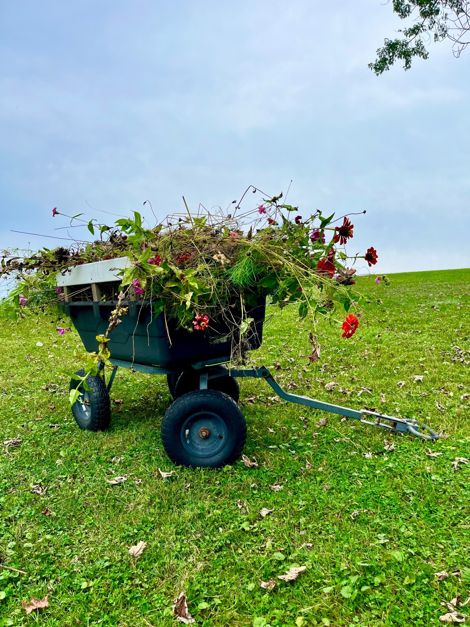 Garden Wagon

#LTKFamily #LTKHome #LTKActive