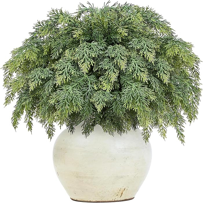 Brand: MEUIS | Amazon (US)