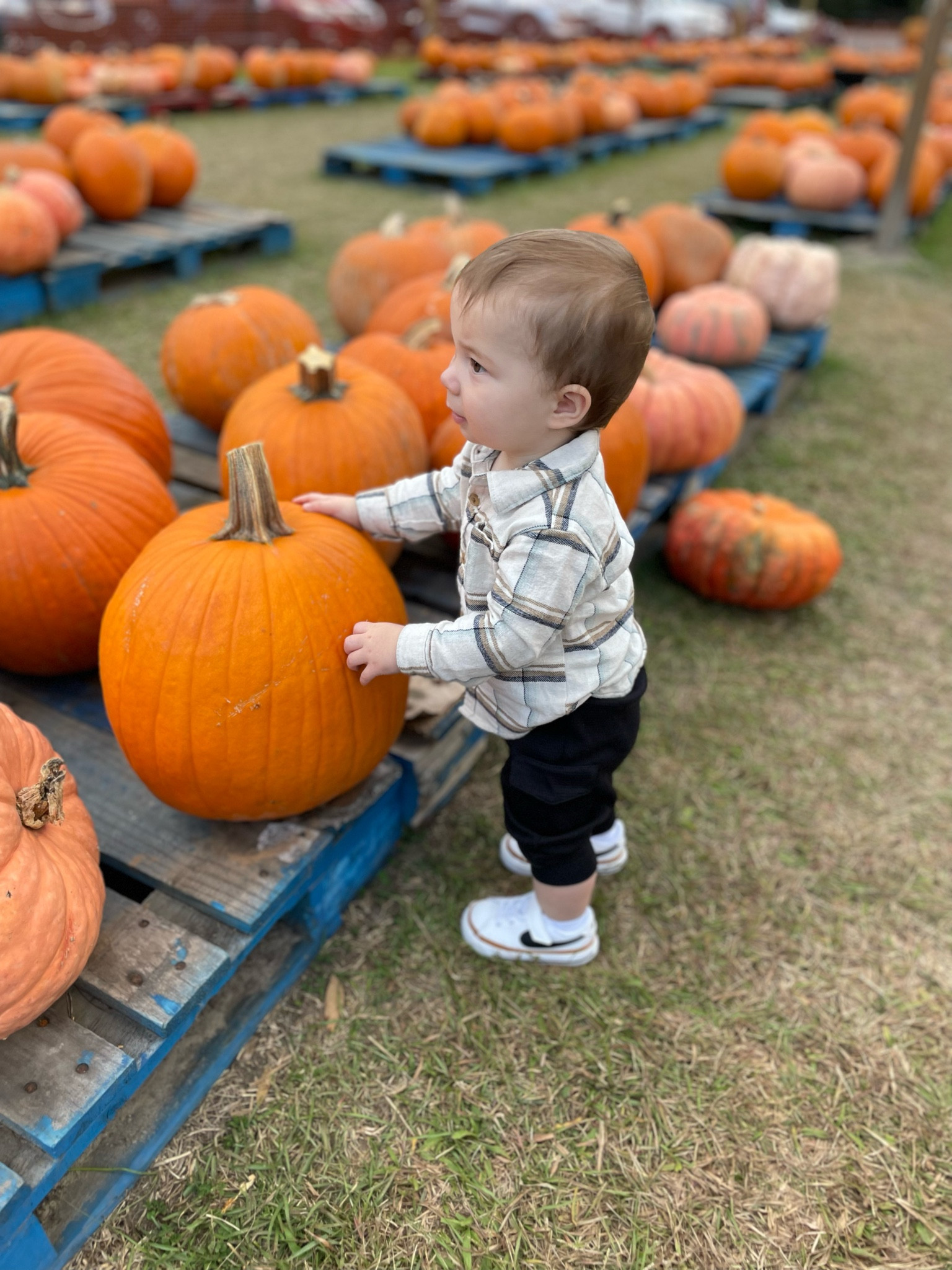 These joggers have been so easy add to any outfit  

#LTKHoliday #LTKHalloween #LTKKids