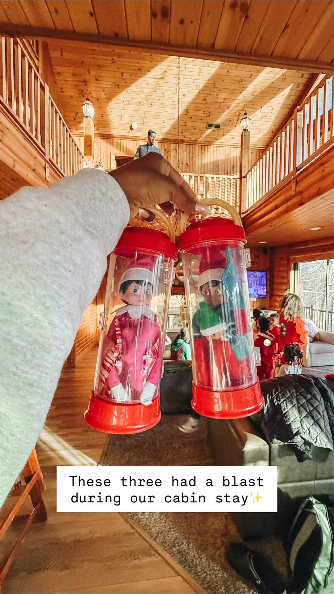 We took our elves with us in these special carriers 

#LTKHoliday #LTKTravel #LTKmomlife