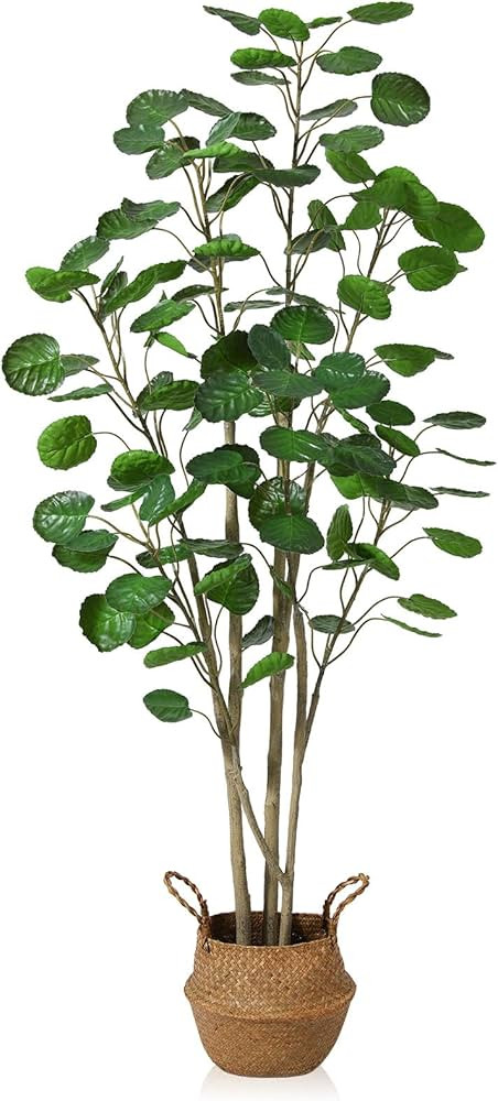 Kazeila Artificial Aralia Balfour Tree,Fake Greenery Plant,Come with Woven Seagrass Belly Basket,... | Amazon (US)