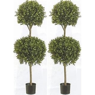 4' Double Ball-shaped Boxwood Topiary in Plastic Pot Two Tone Green | Amazon (US)
