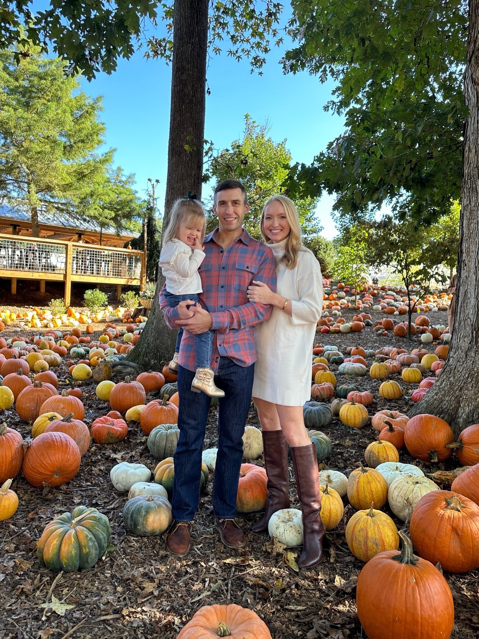 Elevated fall look! Perfect for family photos or an outing to the pumpkin patch! Fall outfits // elevated outfits // fall family photos // sweater dresses // knee high boots // brown boots 

#LTKShoeCrush #LTKStyleTip #LTKSeasonal