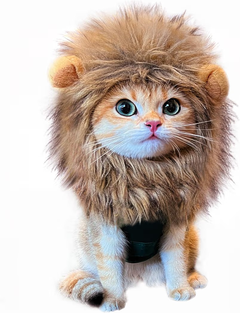 Lion Mane Wig for Cat Costume Pet Adjustable Washable Comfortable Fancy Lion Hair Cat Clothes Dre... | Amazon (US)