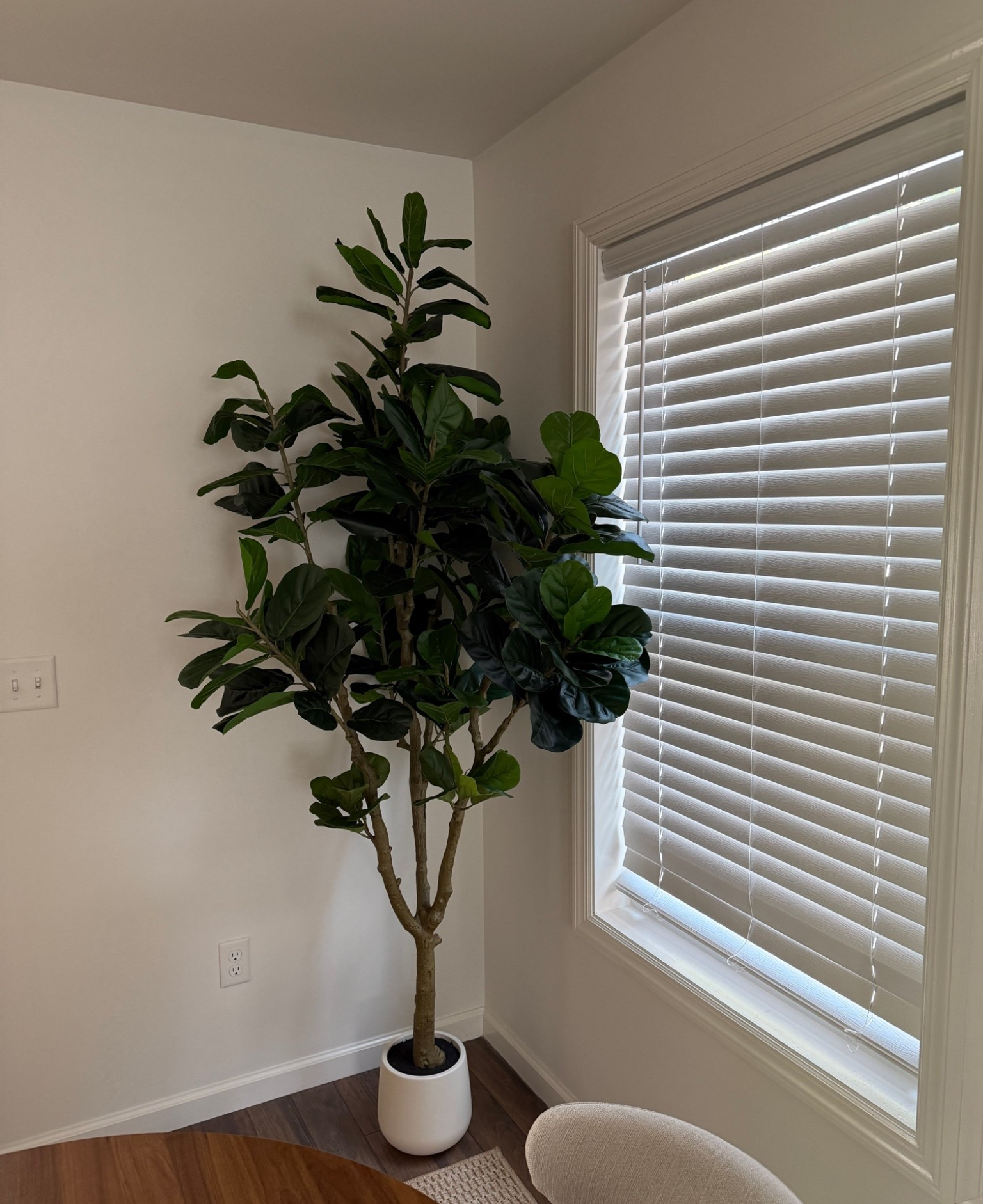 Amazon Dining room plant - it’s a fiddle leaf fig tree😍