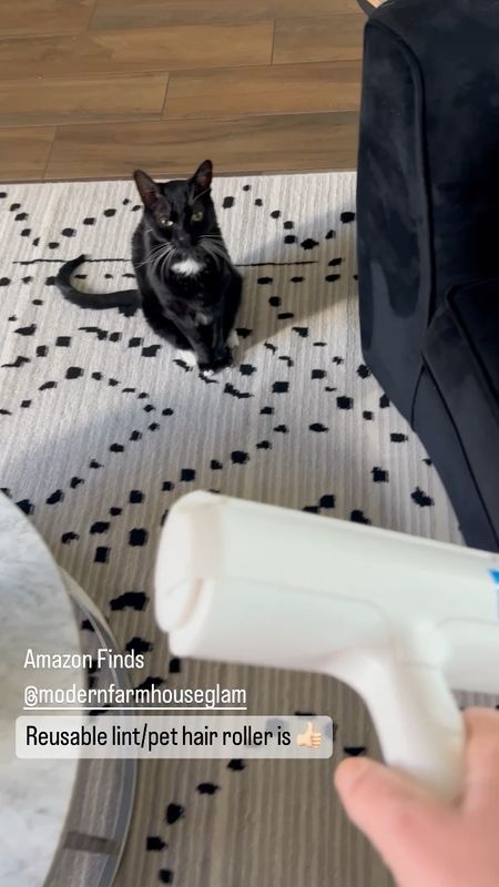 Reusable pet hair remover lint roller from Amazon works great on my velvet sofa at Modern Farmhouse Glam!

Amazon finds. Black and white neutral area rug. Livingroom furniture and home decor  

#LTKVideo #LTKfamily #LTKhome