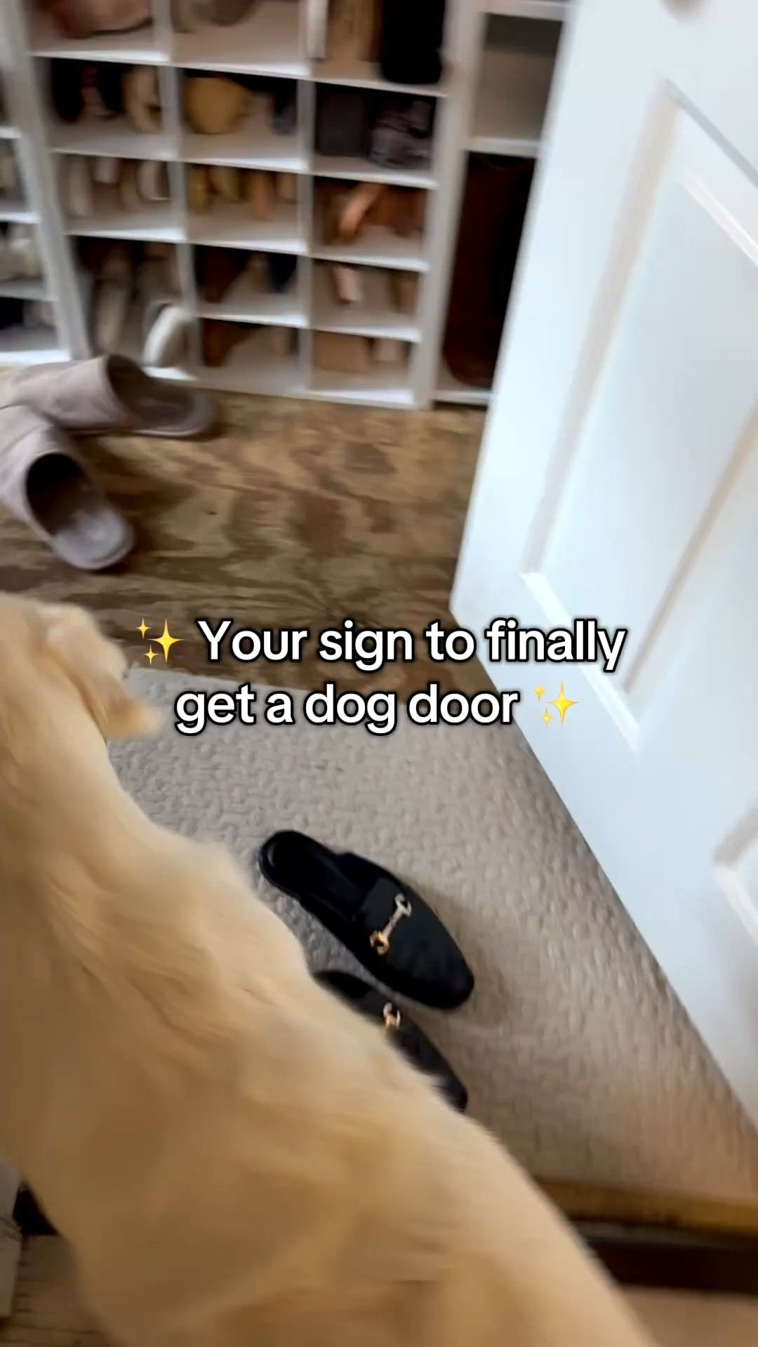 Endless in & out requests? SOLVED👏🏻 This dog door changed everything for us! 🐶🙌🏻

#dogparents #dogdoor #dogmomlife

#LTKHome #LTKPets