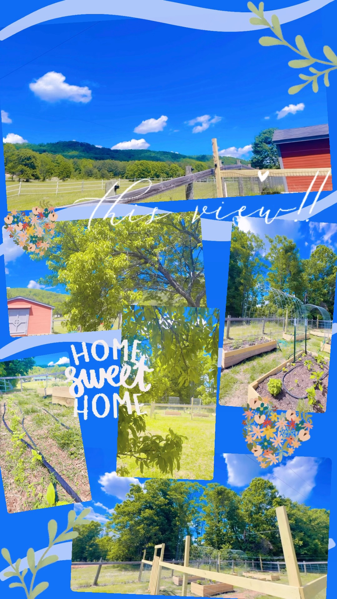 Home sweet home 🌱