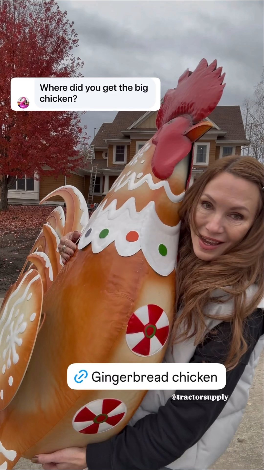 Tractor supply Christmas chicken!

#LTKHoliday #LTKSeasonal #LTKHome