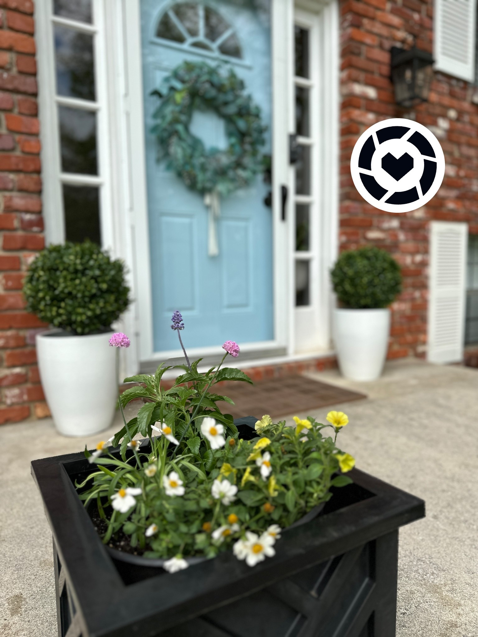 Can’t wait to see these planters when they’re in full bloom, spring has sprung! 🤍💙 

#LTKSeasonal #LTKHome
